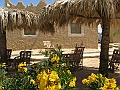 Oasi di Siwa_50